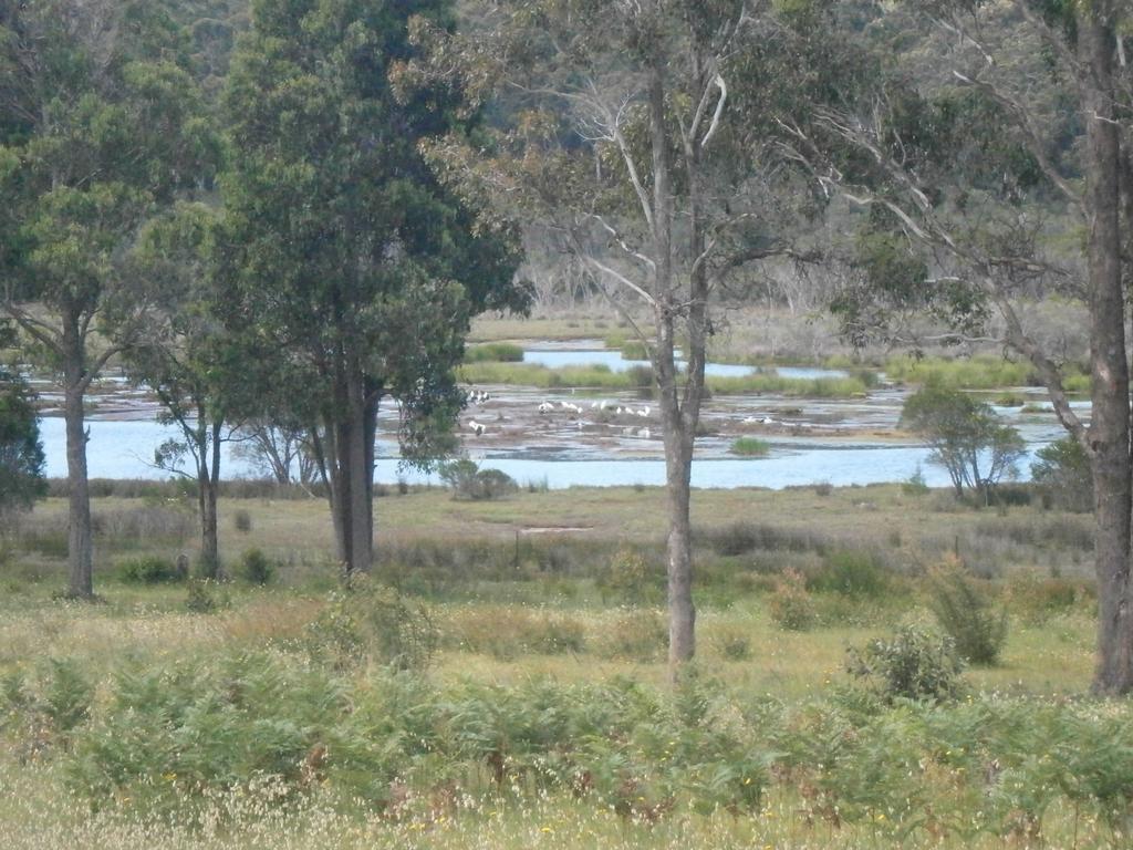 Top Of The Lake Holiday Units Merimbula Dış mekan fotoğraf
