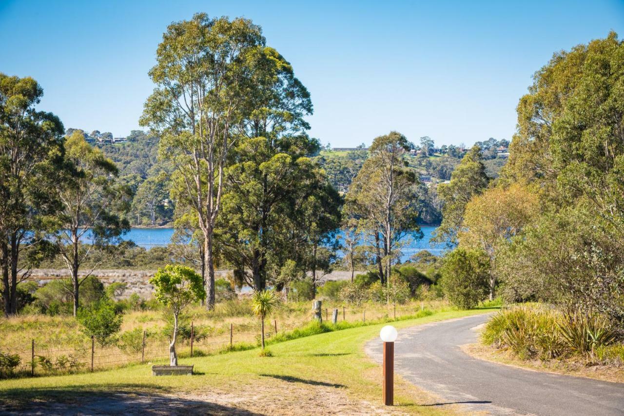 Top Of The Lake Holiday Units Merimbula Dış mekan fotoğraf